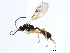  ( - 06-PROBE-3617)  @13 [ ] CreativeCommons - Attribution (2010) Unspecified Centre for Biodiversity Genomics