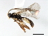  ( - 06-PROBE-3717)  @13 [ ] CreativeCommons - Attribution (2010) Unspecified Centre for Biodiversity Genomics