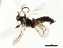  ( - 06-PROBE-3780)  @13 [ ] CreativeCommons - Attribution (2010) Unspecified Centre for Biodiversity Genomics