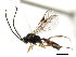  ( - 06-PROBE-3782)  @13 [ ] CreativeCommons - Attribution (2010) Unspecified Centre for Biodiversity Genomics