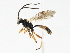  ( - 06-PROBE-3796)  @13 [ ] CreativeCommons - Attribution (2010) Unspecified Centre for Biodiversity Genomics
