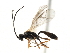  ( - 06-PROBE-3817)  @13 [ ] CreativeCommons - Attribution (2010) Unspecified Centre for Biodiversity Genomics
