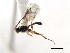  ( - 06-PROBE-3871)  @13 [ ] CreativeCommons - Attribution (2010) Unspecified Centre for Biodiversity Genomics