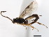  ( - 06-PROBE-3881)  @13 [ ] CreativeCommons - Attribution (2010) Unspecified Centre for Biodiversity Genomics