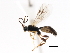  ( - 06-PROBE-3921)  @13 [ ] CreativeCommons - Attribution (2010) Unspecified Centre for Biodiversity Genomics