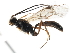  ( - 06-PROBE-3975)  @13 [ ] CreativeCommons - Attribution (2010) Unspecified Centre for Biodiversity Genomics