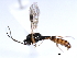  ( - 06-PROBE-3462)  @13 [ ] CreativeCommons - Attribution (2009) Unspecified Centre for Biodiversity Genomics