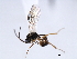  ( - 06-PROBE-3475)  @13 [ ] CreativeCommons - Attribution (2009) Unspecified Centre for Biodiversity Genomics