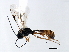  ( - 06-PROBE-3583)  @14 [ ] CreativeCommons - Attribution (2009) Unspecified Centre for Biodiversity Genomics