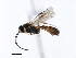  ( - 06-PROBE-3765)  @12 [ ] CreativeCommons - Attribution (2009) Unspecified Centre for Biodiversity Genomics