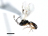  ( - 06-PROBE-3872)  @13 [ ] CreativeCommons - Attribution (2009) Unspecified Centre for Biodiversity Genomics