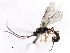  ( - 07PROBE-20575)  @13 [ ] CreativeCommons - Attribution (2009) Unspecified Centre for Biodiversity Genomics