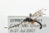  ( - 07PROBE-20611)  @14 [ ] CreativeCommons - Attribution (2009) Unspecified Centre for Biodiversity Genomics