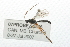  ( - 07PROBE-20626)  @13 [ ] CreativeCommons - Attribution (2009) Unspecified Centre for Biodiversity Genomics