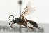  ( - 07PROBE-20638)  @14 [ ] CreativeCommons - Attribution (2009) Unspecified Centre for Biodiversity Genomics