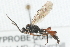  ( - 07PROBE-20644)  @13 [ ] CreativeCommons - Attribution (2009) Unspecified Centre for Biodiversity Genomics