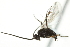  ( - 07PROBE-20786)  @12 [ ] CreativeCommons - Attribution (2010) CBG Photography Group Centre for Biodiversity Genomics