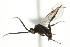  ( - 07PROBE-20787)  @12 [ ] CreativeCommons - Attribution (2010) CBG Photography Group Centre for Biodiversity Genomics