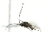  ( - 07PROBE-20796)  @12 [ ] CreativeCommons - Attribution (2010) CBG Photography Group Centre for Biodiversity Genomics