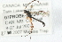  ( - 07PROBE-20724)  @13 [ ] CreativeCommons - Attribution (2009) Unspecified Centre for Biodiversity Genomics