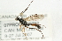  ( - 07PROBE-20752)  @12 [ ] CreativeCommons - Attribution (2009) Unspecified Centre for Biodiversity Genomics