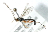  ( - 07PROBE-20822)  @14 [ ] CreativeCommons - Attribution (2009) Unspecified Centre for Biodiversity Genomics