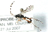  ( - 07PROBE-20823)  @14 [ ] CreativeCommons - Attribution (2009) Unspecified Centre for Biodiversity Genomics
