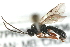  ( - 07PROBE-20836)  @13 [ ] CreativeCommons - Attribution (2009) Unspecified Centre for Biodiversity Genomics