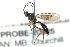  (Atractodes jft06 sp. MAS BIN397 - 07PROBE-20925)  @13 [ ] CreativeCommons - Attribution (2009) Unspecified Centre for Biodiversity Genomics