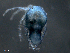  ( - BIOUG25721-A02)  @12 [ ] CreativeCommons - Attribution (2015) CBG Photography Group Centre for Biodiversity Genomics