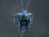  ( - BIOUG25721-A03)  @12 [ ] CreativeCommons - Attribution (2015) CBG Photography Group Centre for Biodiversity Genomics