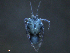  ( - BIOUG25721-A03)  @13 [ ] CreativeCommons - Attribution (2015) CBG Photography Group Centre for Biodiversity Genomics