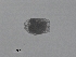  (Brachionus paranguensis - BIOUG27974-A06)  @11 [ ] CreativeCommons - Attribution (2016) Manuel Elias-Gutierrez Unspecified