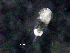  ( - BIOUG30360-E10)  @11 [ ] CreativeCommons - Attribution (2016) Manuel Elias-Gutierrez El Colegio de la Frontera Sur, Unidad Chetumal