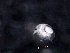  ( - BIOUG30347-F02)  @12 [ ] CreativeCommons - Attribution (2016) Manuel Elias-Gutierrez El Colegio de la Frontera Sur, Unidad Chetumal