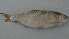 ( - BNF 199)  @13 [ ] Copyright (2010) C. Nwani 2010 Unspecified