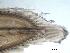  ( - C10XAB1)  @12 [ ] Unspecified (default): All Rights Reserved  Unspecified Unspecified