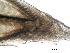  ( - C8XGM7)  @11 [ ] Unspecified (default): All Rights Reserved  Unspecified Unspecified