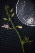  ( - CMPR12323)  @11 [ ] Copyright (2024) Arya Vaidya Sala Centre for Medicinal Plants Research-Arya Vaidya Sala
