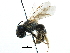  ( - CCDB-06733 F11)  @15 [ ] CreativeCommons - Attribution (2016) CBG Photography Group Centre for Biodiversity Genomics