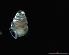  ( - LukinaJama)  @13 [ ] CreativeCommons - Attribution Non-Commercial Share-Alike (2013) Alexander M. Weigand Unspecified