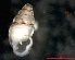  ( - 1247d_BUL_Mostovo)  @13 [ ] Copyright (2010) A. Simon 2010 Unspecified
