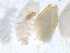  ( - Barco_22_B11)  @11 [ ] Copyright © (2023) TorErikEriksen Norwegian Institute for Water Research