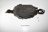  ( - MACN-Or-ct 1206)  @13 [ ] Copyright (2012) MACN Museo Argentino de Ciencias Naturales "Bernardino Rivadavia"