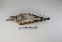  ( - MACN-Or-ct 1301)  @12 [ ] Copyright (2012) MACN Museo Argentino de Ciencias Naturales "Bernardino Rivadavia"
