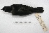 ( - MACN-Or-ct 1617)  @13 [ ] Copyright (2014) MACN Museo Argentino de Ciencias Naturales, Bernardino Rivadavia