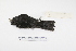  ( - MACN-Or-ct 1641)  @13 [ ] Copyright (2012) MACN Museo Argentino de Ciencias Naturales "Bernardino Rivadavia"