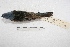  ( - MACN-Or-ct 2753)  @12 [ ] Copyright (2014) MACN Museo Argentino de Ciencias Naturales, Bernardino Rivadavia