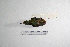  ( - MACN-Or-ct 2854)  @12 [ ] Copyright (2012) MACN Museo Argentino de Ciencias Naturales "Bernardino Rivadavia"