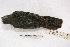  ( - MACN-Or-ct 3238)  @13 [ ] Copyright (2014) MACN Museo Argentino de Ciencias Naturales, Bernardino Rivadavia